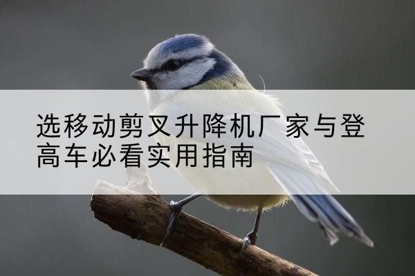 扎兰屯电动升降机厂家-选移动剪叉升降机厂家与登高车必看实用指南