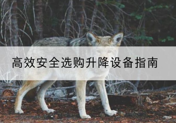 扎兰屯升降货梯厂家推荐-*安全选购升降设备指南