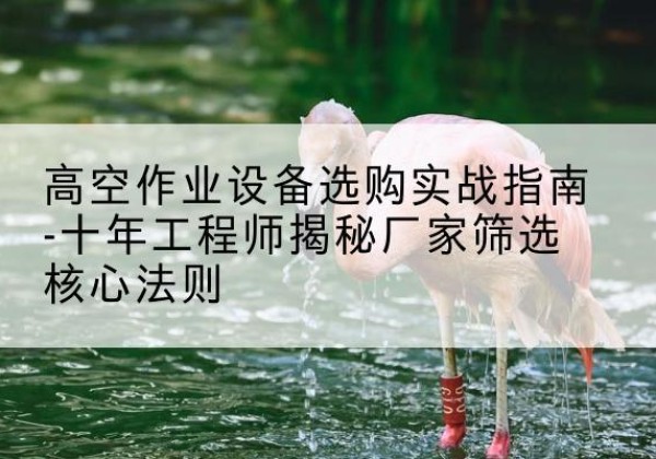 扎兰屯剪叉式升降机厂家-高空作业设备选购实战指南-十年工程师揭秘厂家筛选核心法则